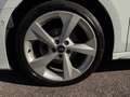 Audi A3 A3 Sportback 30 2.0 tdi Business Advanced s-tronic Blanc - thumbnail 23