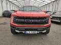Ford F 150 Raptor T1 Price: 67.000 EUR, Stock ! Rot - thumbnail 2