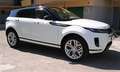 Land Rover Range Rover Evoque Range Rover Evoque 2.0d mhev S awd 150cv AUTOCARRO Weiß - thumbnail 7