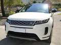 Land Rover Range Rover Evoque Range Rover Evoque 2.0d mhev S awd 150cv AUTOCARRO Weiß - thumbnail 3