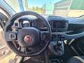Fiat Panda Panda 1.0 firefly hybrid - CROSS Schwarz - thumbnail 11