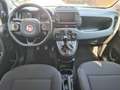 Fiat Panda Panda 1.0 firefly hybrid - CROSS Schwarz - thumbnail 9