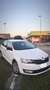 Skoda Rapid/Spaceback Rapid 1.6 tdi cr Active 90cv dsg - thumbnail 3