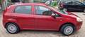Fiat Grande Punto Grande Punto 5p 1.2 Fun 65cv Rosso - thumbnail 7