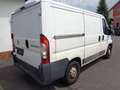 Fiat Ducato Kasten 28 115 FESTPREIS Blanco - thumbnail 4