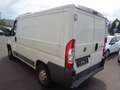 Fiat Ducato Kasten 28 115 FESTPREIS Blanco - thumbnail 5