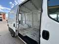 Iveco Daily 35S14 2.3 D 136 cv Portata 1154 kg PREZZO REALE Bianco - thumbnail 14