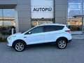 Ford Kuga Kuga II 2013 2.0 tdci Plus 4wd 140cv powershift Weiß - thumbnail 3