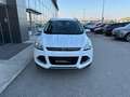 Ford Kuga Kuga II 2013 2.0 tdci Plus 4wd 140cv powershift Weiß - thumbnail 1