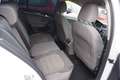 Volkswagen Golf Highline BlueMotion 1,6 TDI Weiß - thumbnail 21
