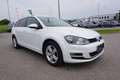 Volkswagen Golf Highline BlueMotion 1,6 TDI Weiß - thumbnail 8