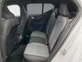 Volvo XC40 XC40 B3 B DKG Core Weiß - thumbnail 12