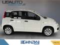 Fiat Panda Panda 1.2 Pop Blanc - thumbnail 5
