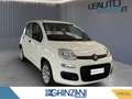 Fiat Panda Panda 1.2 Pop Blanc - thumbnail 2