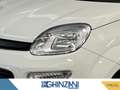 Fiat Panda Panda 1.2 Pop Blanc - thumbnail 12