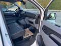 Citroen Jumpy Club M Weiß - thumbnail 21