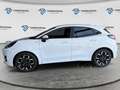 Ford Puma 1.0 EcoBoost MHEV ST-Line X 125 Blanco - thumbnail 2