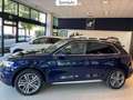 Audi Q5 40 2.0 tdi design quattro 190cv s-tronic Blu/Azzurro - thumbnail 7