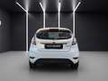 Ford Fiesta 1.5 TDCi 75CV 5 porte Titanium Bianco - thumbnail 4