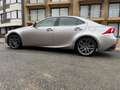 Lexus IS 300 IS 300h 2.5i F-Sport Line E-CVT Grigio - thumbnail 1
