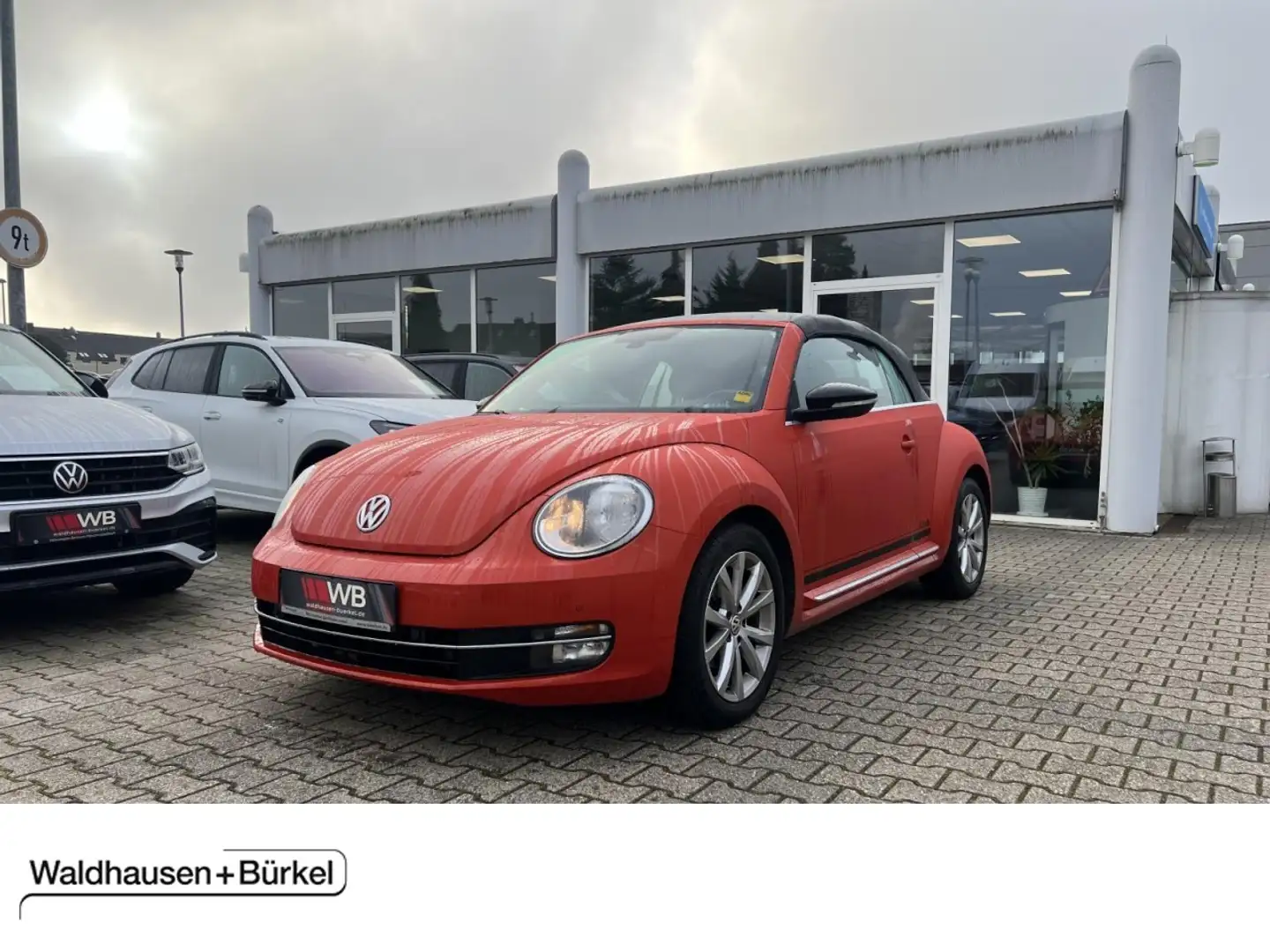 Volkswagen Beetle Cabriolet 2.0 TDI DSG Club Klima Navi Orange - 1