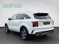 Kia Sorento 1.6T-GDI Hybrid Platinum 4WD Leder 360° Weiß - thumbnail 4