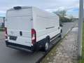 Opel Movano Cargo L4H2 *Schwingsitz/Holzboden/Kamera* Bianco - thumbnail 3