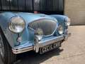 Austin-Healey 100 100/4 BN1 - thumbnail 14