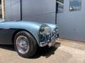 Austin-Healey 100 100/4 BN1 - thumbnail 33