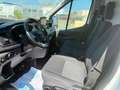 Ford Transit 350 96kW L2H2 Van Trend FWD Blanco - thumbnail 5