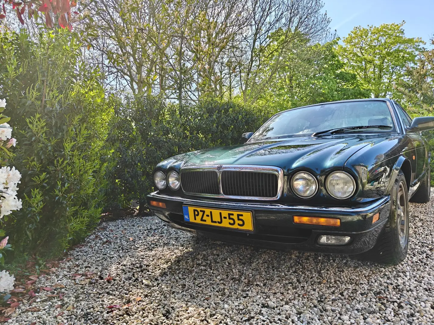 Jaguar XJ6 3.2 Executive - 1