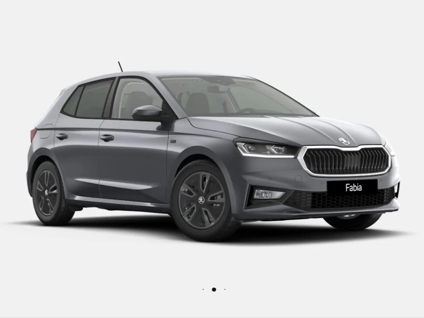 Skoda Fabia 1.0 TSI Tour 2xKLIMA ACC DYNLICHT FLA KAM Grijs - 2