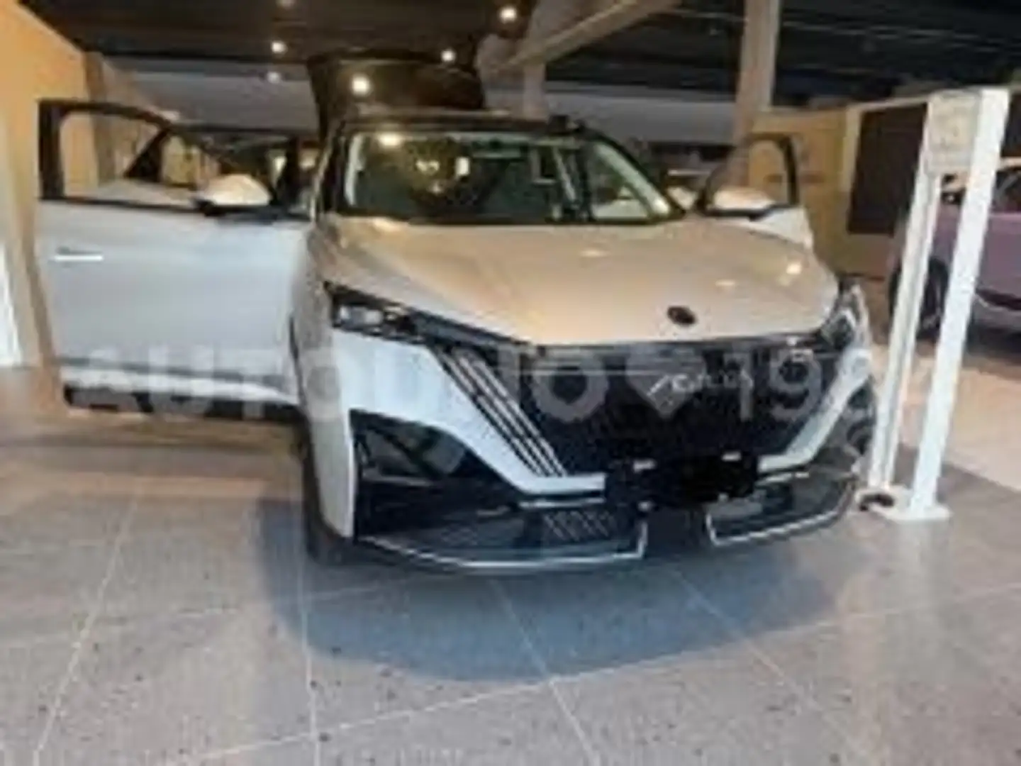 Dongfeng MAGE ICE E2 Grau - 1