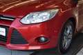 Ford Focus 1.6 EcoBoost SYNC Edition Start/Stopp AHK* Rot - thumbnail 7