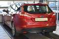Ford Focus 1.6 EcoBoost SYNC Edition Start/Stopp AHK* Rot - thumbnail 4