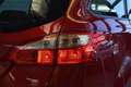 Ford Focus 1.6 EcoBoost SYNC Edition Start/Stopp AHK* Rot - thumbnail 8