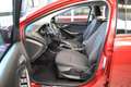 Ford Focus 1.6 EcoBoost SYNC Edition Start/Stopp AHK* Rot - thumbnail 11