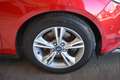 Ford Focus 1.6 EcoBoost SYNC Edition Start/Stopp AHK* Rot - thumbnail 31