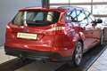 Ford Focus 1.6 EcoBoost SYNC Edition Start/Stopp AHK* Rot - thumbnail 6