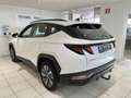 Hyundai TUCSON 1.6T-GDi 150cv 2022 2WD Camera/Navi/Carplay/Clim Blanc - thumbnail 7