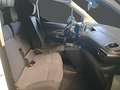 Citroen Berlingo Driver M 1000 1.5 BlueHDi 100CV BVM5 E6dT Weiß - thumbnail 10