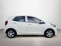 Kia Picanto 1.0 DPi Concept Blanc - thumbnail 3