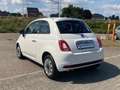 Fiat 500 1.2i 69pk ! Wit - thumbnail 5