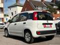 Fiat Panda Pop*TÜV*INSPEKTION* Weiß - thumbnail 10
