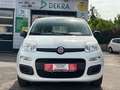 Fiat Panda Pop*TÜV*INSPEKTION* Weiß - thumbnail 5