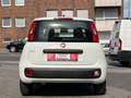 Fiat Panda Pop*TÜV*INSPEKTION* Weiß - thumbnail 11