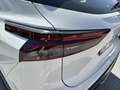Nissan Qashqai III 2021 1.3 mhev Acenta 2wd 140cv Bianco - thumbnail 13
