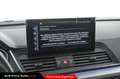 Audi Q5 40 TDI 204 CV quattro S tronic Business Advanced Blu/Azzurro - thumbnail 21