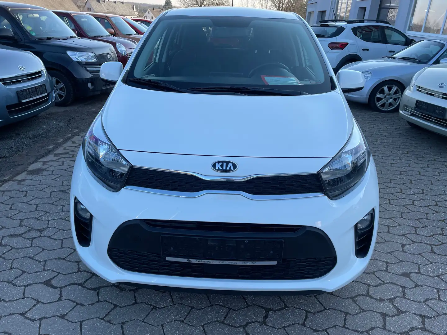Kia Picanto Dream Team Edition SHZ, LHZ Weiß - 1