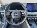 Skoda Superb 2.0 TDI DSG Wagon Style Argento - thumbnail 10